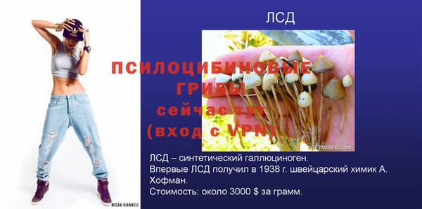 прущие крисы Алзамай