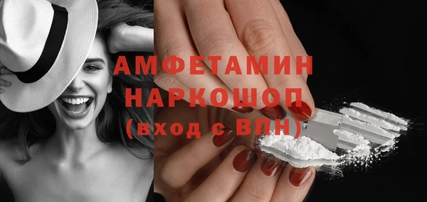 сатива Осташков
