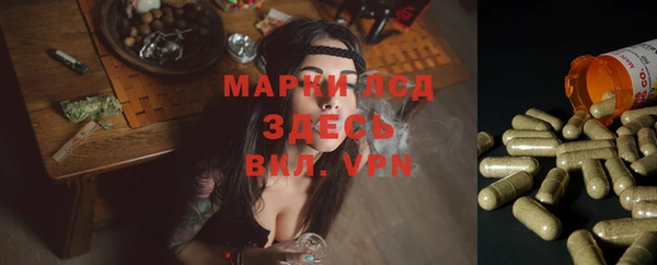 прущие крисы Алзамай