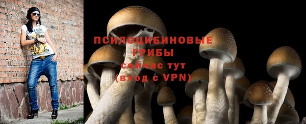 прущий лед Алексин