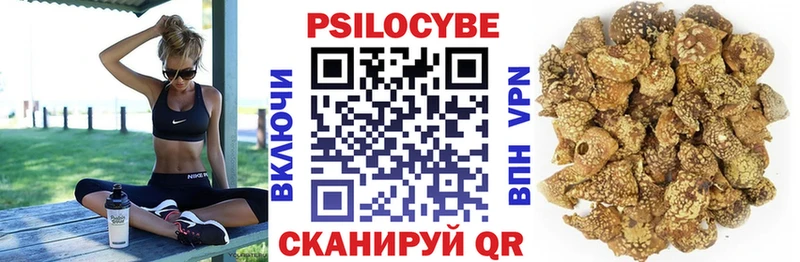 Псилоцибиновые грибы мицелий Апшеронск